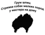 Добро пожаловать) 
Меня зовут Дарья. Я мастер по грумингу породы шпиц